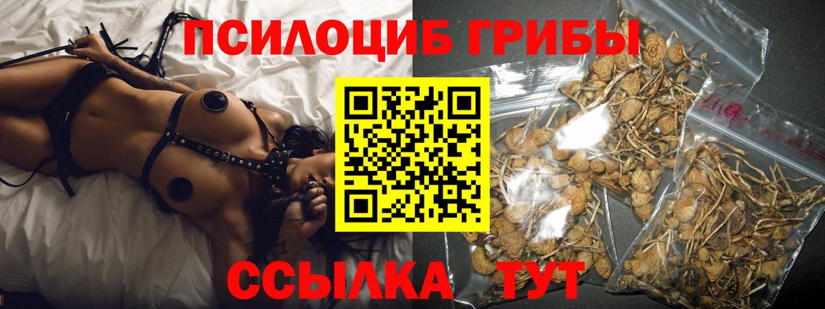 Галлюциногенные грибы прущие грибы Владимир