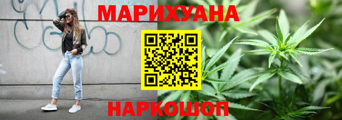 Каннабис конопля Владимир